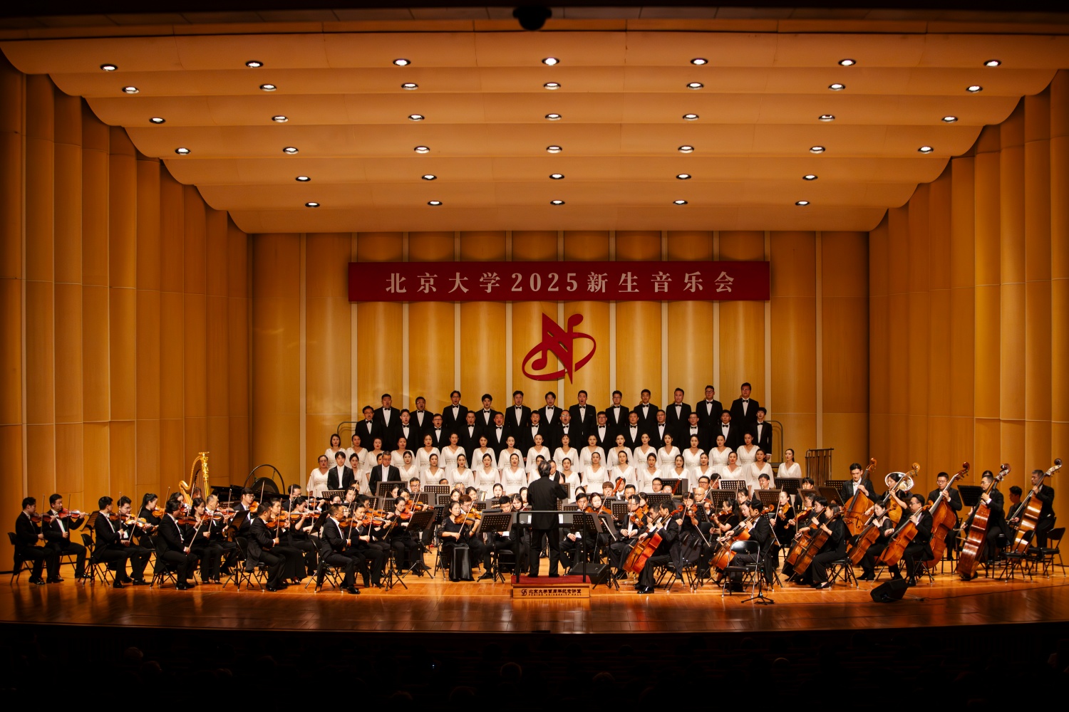 IMG_1099-已增强-NR.jpg