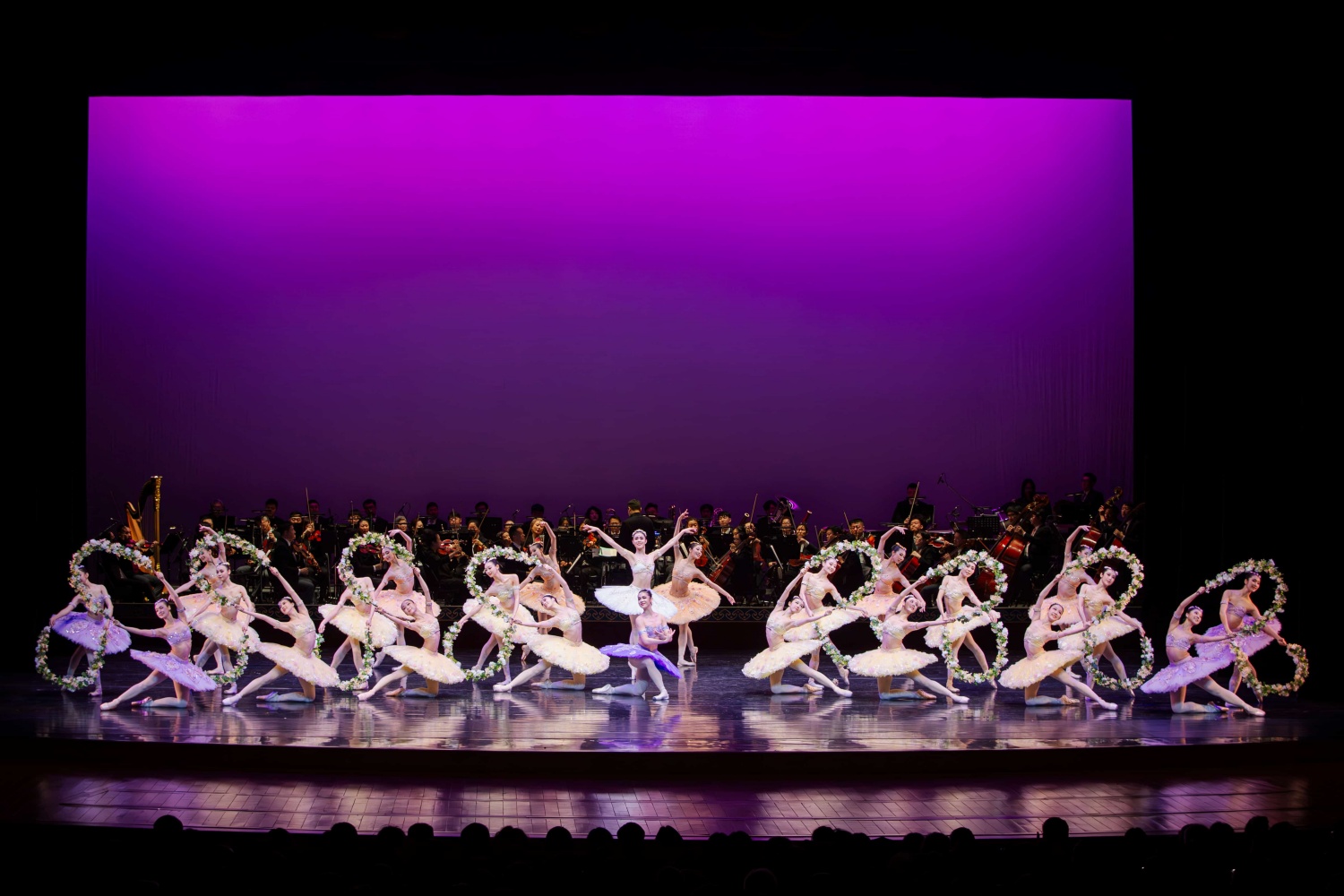 中央芭蕾舞团《花园舞》.jpg